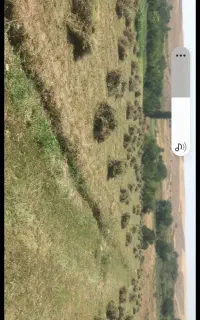 ۱۰۰بسته علف یا ۱۰۰باغ اوت