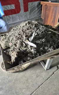 استخدام نظافتکار