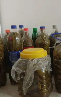 فروش خیارشور