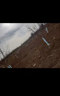 شخم با دستگاه تیلر باقیمت مناسب