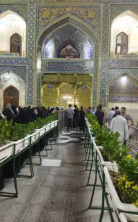 کاروان زیارتی مشهد جهت ولادت