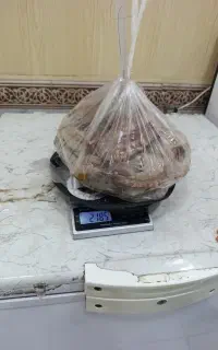 ماهی فروشی کن طس