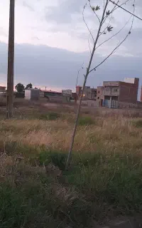 ۱۳۶ متر زمین تجاری فلکه الله