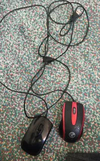 موس