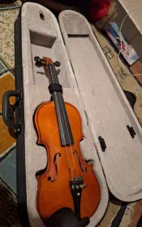 ویالن2/4