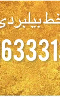09163331331
