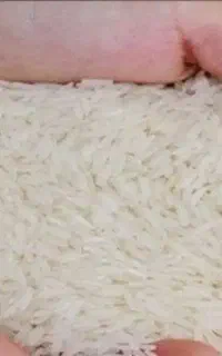برنج  هاشمی درجه یک