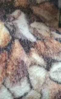 موکت در دوطرح کارکرده