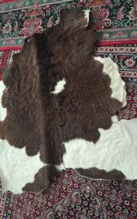 پوست گاو