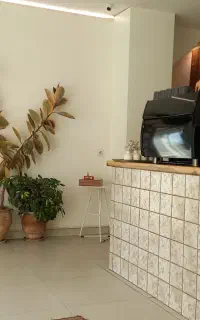 استخدام سالندار