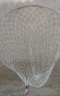 طور کفتر گیری