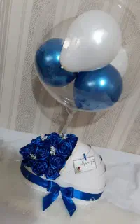 باکس کریر نوزاد شیک و خاص
