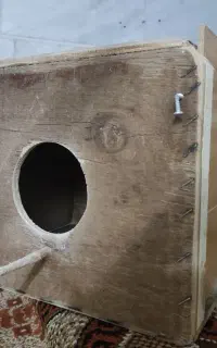 لانه عروس هلندی