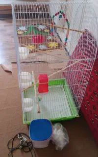 قفس پرنده