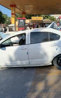 شاهین
