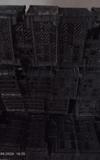 سبد