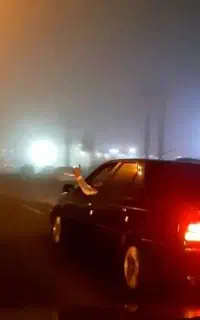 405 81 لوازمی xum