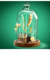 ضامن رتبه آ میخواهم