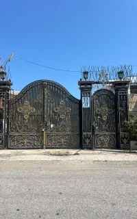 درب آهنی  حفاظ شاخ گوزنی