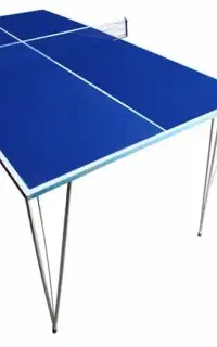 میز پینگ پنگ t101
