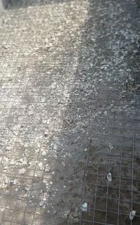 آرموتوربندی اسکلت بتن واستخر