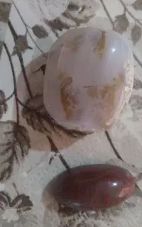 سنگ شجر
