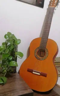 گیتار کاملا نو