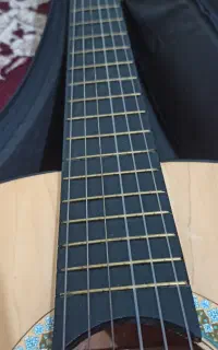 گیتار نو