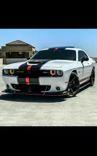 مشاور و خریدار تصادفی (چپی)