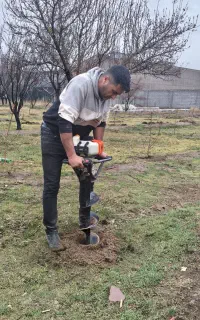 هرس کاری چالکود سمپاشی فروش نهال