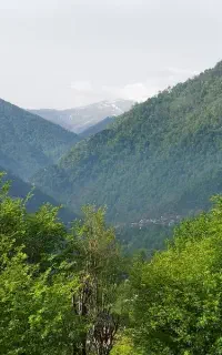 هم‌مسیر