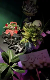 اجاره کنسول ps4 با قیمت فوق العاده
