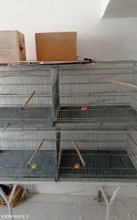 قفس پرنده