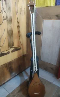 سه تار پنجه طاووسی