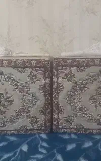 یک جفت پشتی