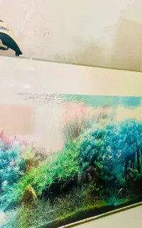 آکواریوم ماهی