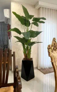 فروش تخفیفی درختچه مصنوعی پرنده بهشتی به قیمت عمده