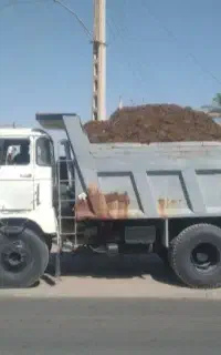 کودگوسفندی درجه یک یک(پشگل خالص)