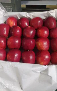 کارگر ساده