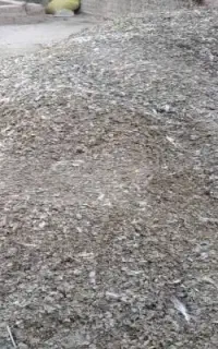 کود کبوتر