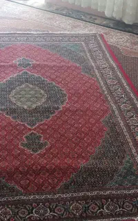 فرش 6 متری  ریز ماهی طرح قدیم جفت هستش
