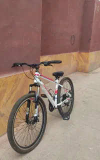 دو عدد دوچرخه