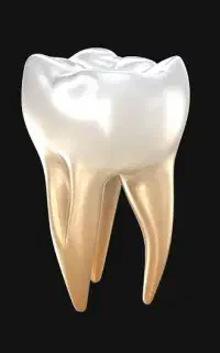 قالبگیری دیجیتال دندان( کلینیک و مطب دندان پزشکی )