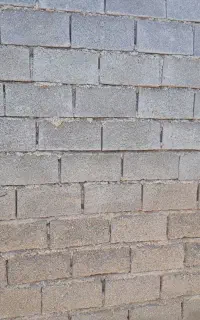 همه کاره