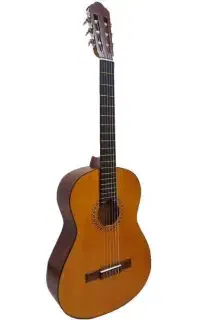 گیتار نو