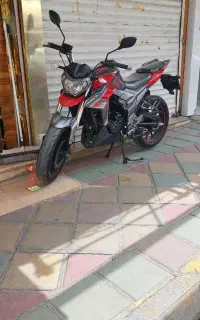 لئوپارد 250