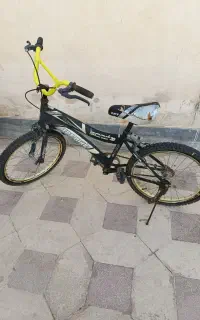 دوچرخه 20