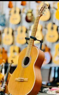 انواع برند گیتار *٪ باکیفیت