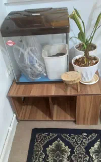 آکواریوم