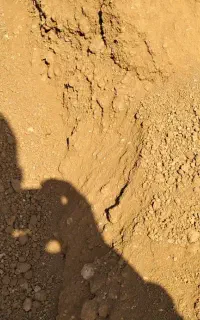 خاک باغچه و باغی